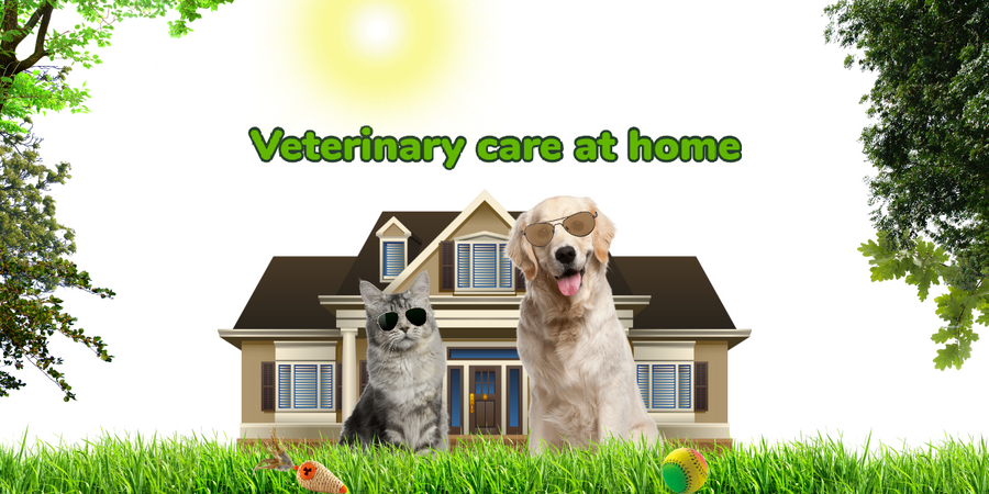 Veterinary Mobile Ottawa Dog Cat Vaccines Exam, vet meds Delivery ...